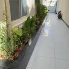 تنسيق حدائق شبكات ري زرعه احوض زرعه الثيل طبيعي