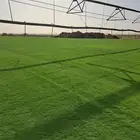 ثيل سي2000 صافي وطبيعي درجة اوله ب مزارع الخرج