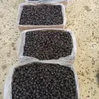 عجوة كمية 5 طن سعر فقط 11 ريال