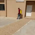 شركة رش مبيدات باابها رش مبيدات الحشرات والصراصير والنمل