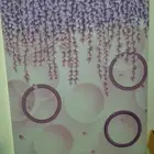 وستاره