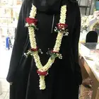 فل جيزاني عرايشي