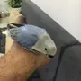 روز هدد أليف مفطوم 