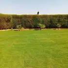 تنسيق حدائق ثيل طبيعي وزرع