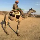 ركابي مشروطه للبيع