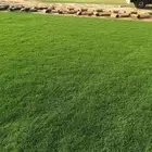 ثيل سي 2000صافي وطبيعي الموقع الخرج