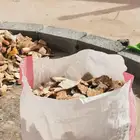 خبز ناشف