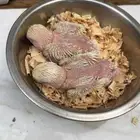فروخ روز