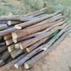 السلام عليكم ورحمه الله وبركاته