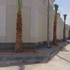 واشنطني زينه درجة أولى مروحه توريد وتركيب
