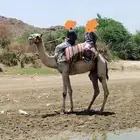 ركبي جذع طايع.. وادي قنونا