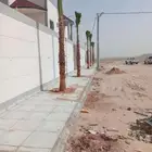 جميع انواع النخيل ياتوصلا على ارقم