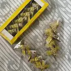 طرطيع شراخيات اللعاب نارية