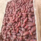 متوفر دخيني طيب فاخر وخضري فاخر التواصل ابو عزام