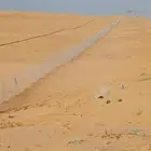 توريد وتركيب اشبوك وتوريد النخيل العربي وا الوشنطني