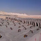 مقاول نوجرسي