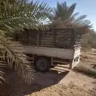 سعف نخل جديد أخضر للعرايش والمظلات والمظلات