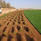 ثيل سئ 2000صافي و طبيعي الموقع الخرج