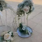 سبتات توزيع