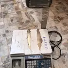 ميزان اللكتروني للبيع