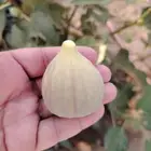 تين الشفا جاهز للنقل