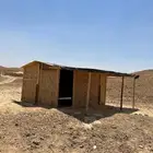 مظلات ابل شبوك درف