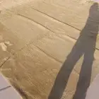 فرشات