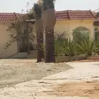 مقاول نخيل عربي مثمر ونخل وشنطني