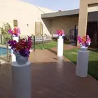 تنسيق تخرج تنسيق عيد ميلاد تنسيق كوشه
