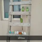 معالجة جميع الطيور صحين ونفسين وتوليفها يوجد فندقه