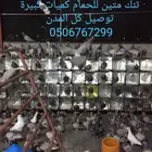 تنك للحمام جديد كميات كبيرة توصيل كل المدن