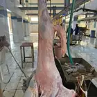 سوكني مرابي 3شهو تقريبن لحمه بيضاء شرررط ونضافه
