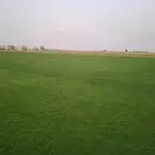 ثيل سي 2000 صافي وطبيعي جراده قولي