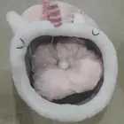 بيت للقطة 30