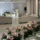 تاجير كوش ومناسبه الافراح