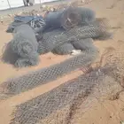 شبك وعمدان 218 متر