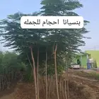 مشتل الطريق الجبيل مشاتل الدمام مشاتل سيهات تنسيق حدائق