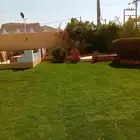 ثيل طبيعي سي2000 فرنسي