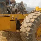 شيول كوزاكي