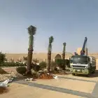 يوجد لدينا نخيل مثمر بدون ان نوعه مقاسات المختلفه