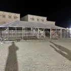 بيوت شعر
