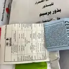 بذر بارسيم أمريكي كاف 101(سر الصحراء) تاريخه جديد