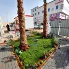 كل ما يخص الزراعه ثيل طبيعي وصناعي وأشجار ونخيل وزهور شتلات