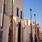 يوجد لدينا جميع انواع النخيل المثمر والزينه جميع مقاسات