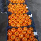 استثمار واعد ومشروع متميز