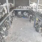مكاين شانجان MG وأي سيارة صينية 2021