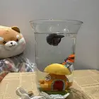 سمك الفايتر   هدية بيت جديد