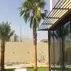 زراعه نخيل واشنطن وعربي وتنسيق الحدائق