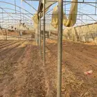 شراء بيوت محميه