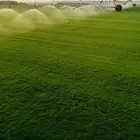 ثيل طبيعي درجة اولي